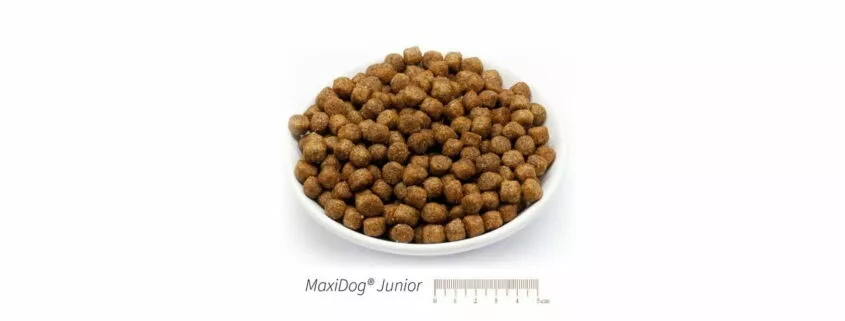 maxidog-junior-3-kg.jpg