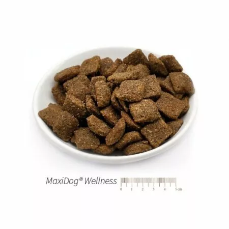 Packung von Reico MaxiDog Wellness Trockenfutter, ideal für sensible und aktive Hunde, mit natürlichen Inhaltsstoffen und ohne Rind und Weizen