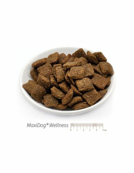 Packung von Reico MaxiDog Wellness Trockenfutter, ideal für sensible und aktive Hunde, mit natürlichen Inhaltsstoffen und ohne Rind und Weizen