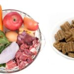 Overhead view on ingredients of barf raw food recipe for dogs consisting meat, organs, fish, eggs and vegetable for good health in white background