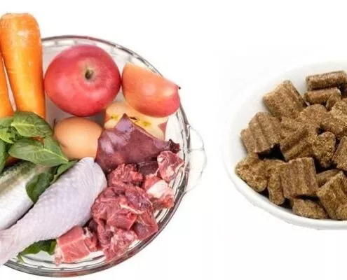 Overhead view on ingredients of barf raw food recipe for dogs consisting meat, organs, fish, eggs and vegetable for good health in white background