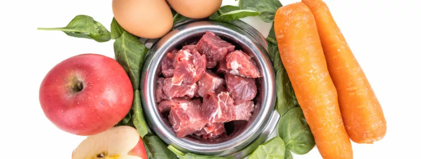 Ingredients of barf raw food recipe for dogs consisting meat, eggs and vegetable