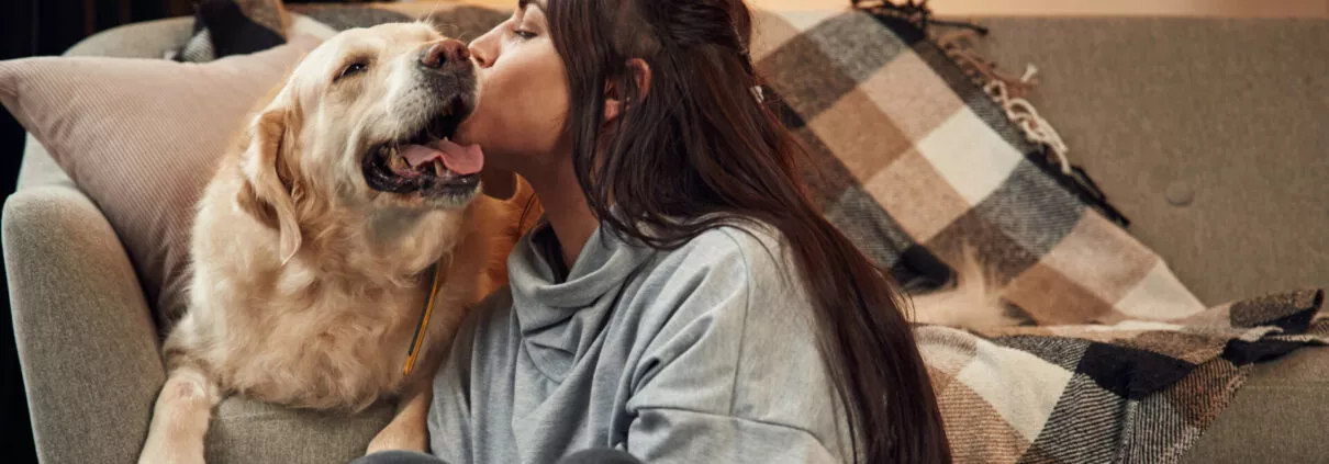 Kissing the dog. Woman is with golden retriever at home