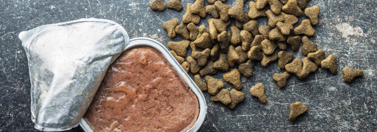 Wet pet food. Cat or dog pate.